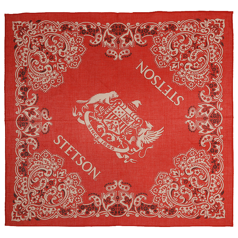 Bandana, Red Paisley