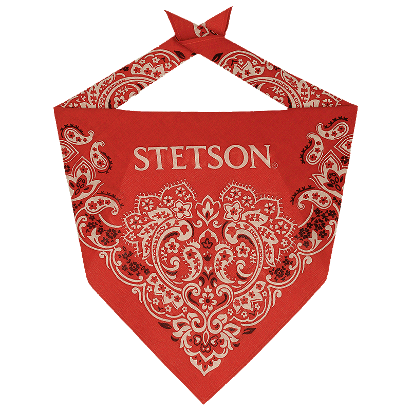 Bandana, Red Paisley