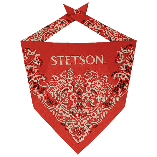 Bandana, Red Paisley