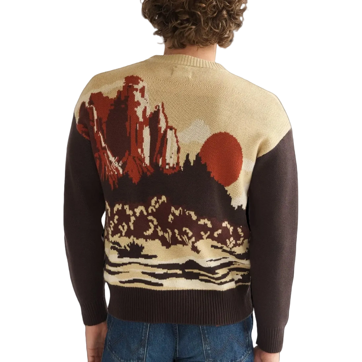 Full Zip Cardigan Desert Scenic