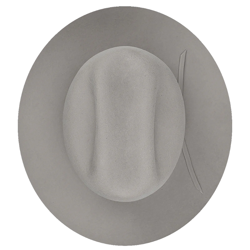 Bailey Claypool Western Hat in Silverbelly from above
