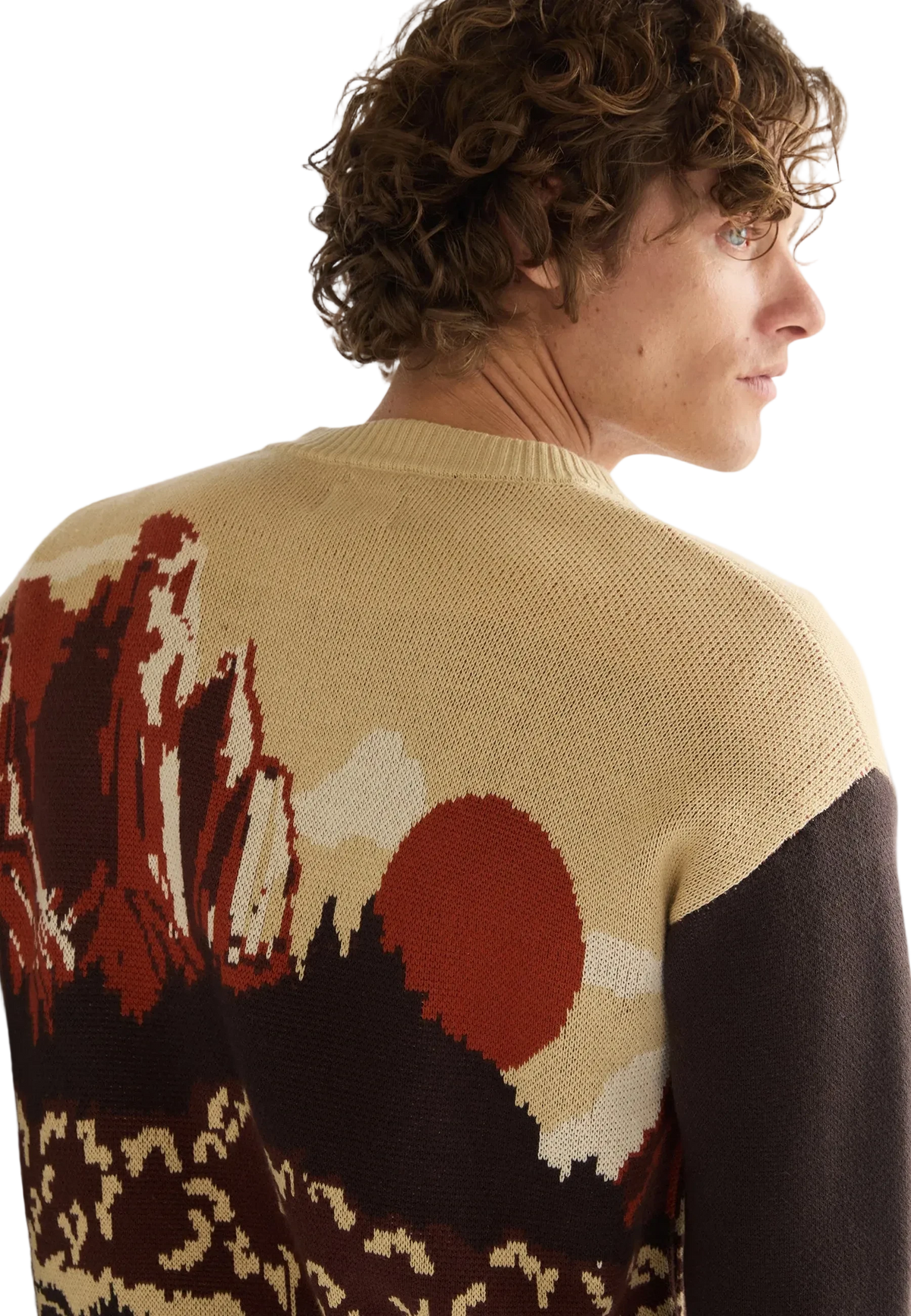 A man wearing a knit sweater with a scenic landscape pattern in beige, brown, and red, shown from a side-back angle against a plain light background.